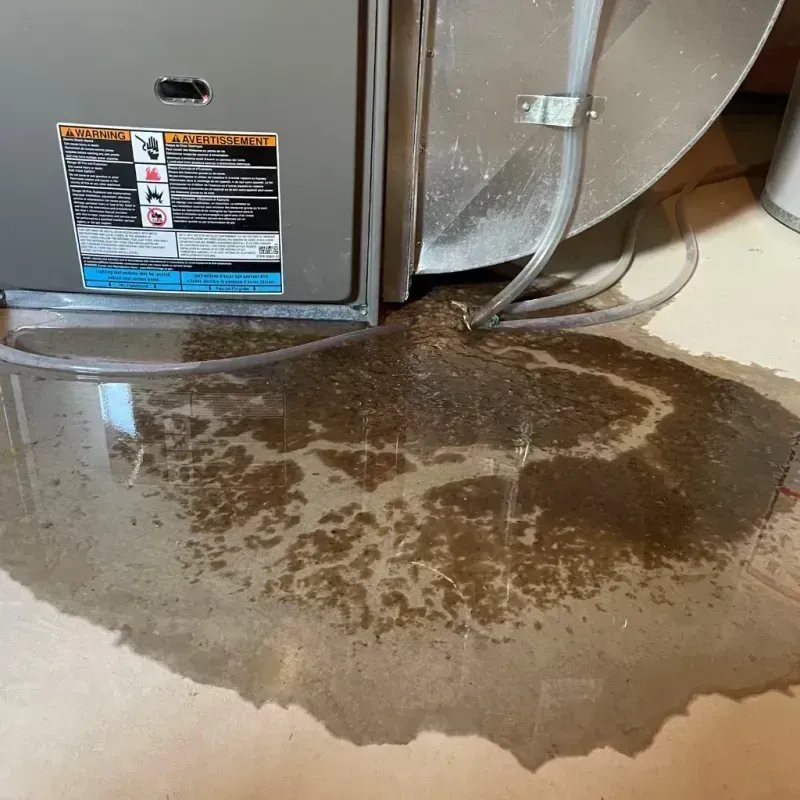 Appliance Leak Cleanup in Ethete, WY